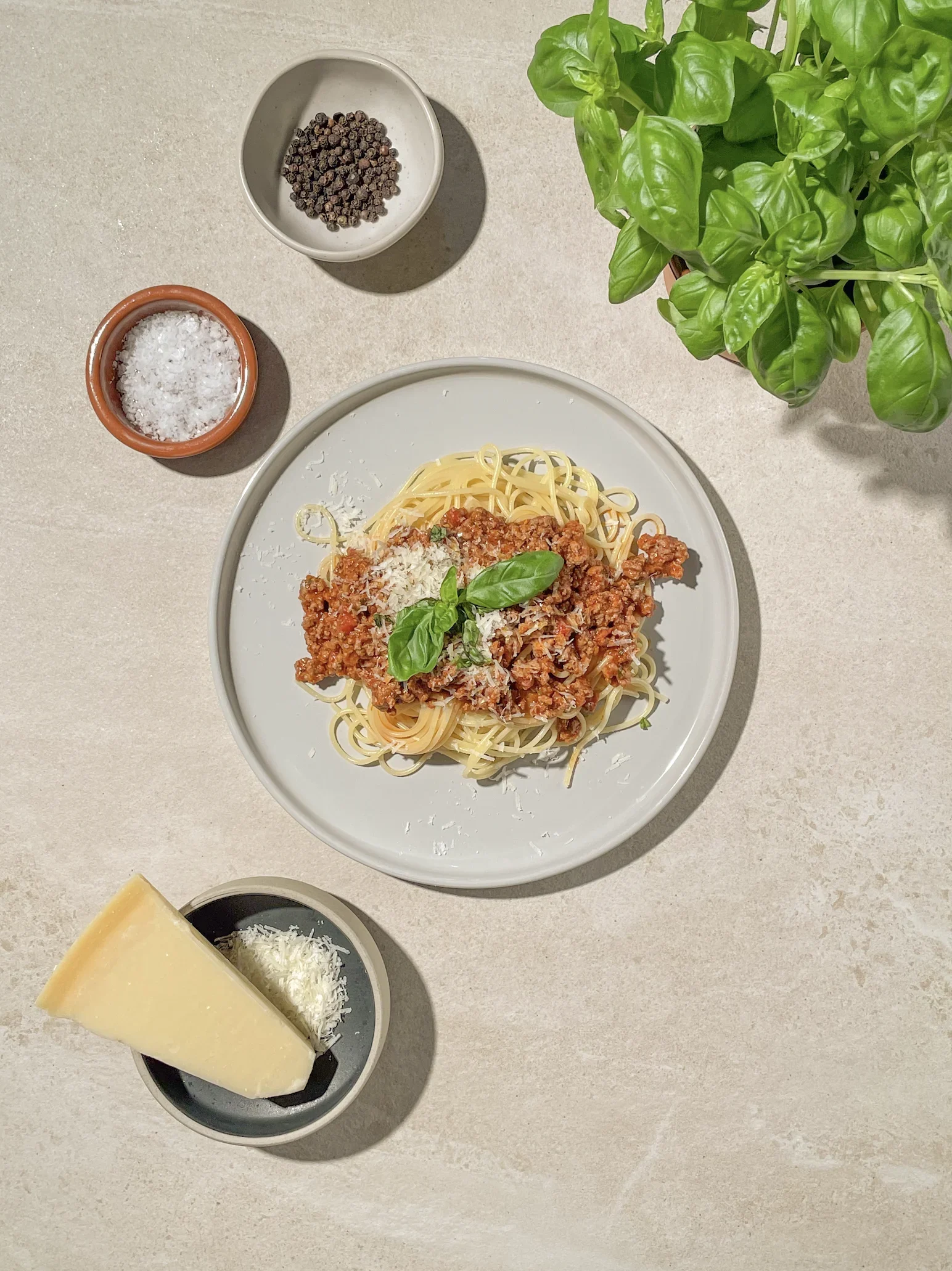 Pasta bolognese med spaghetti og revet parmesan, pyntet med fersk basilikum. Lys bakgrunn.